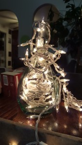 Lights in a Bottle