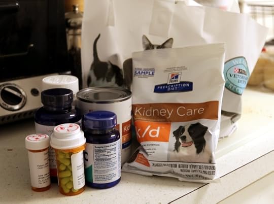 Emmy's new medication.