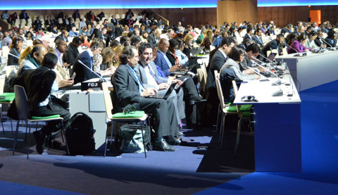 Photo: Your questions about the UN climate conference answered