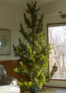 2015-12-08-1P1030787s