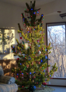 2015-12-08-2P1030791s