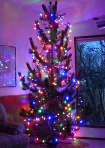 2015-12-08-3P1030793s