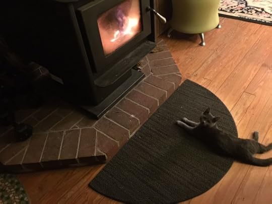 Making herself at home, in front of the fire.