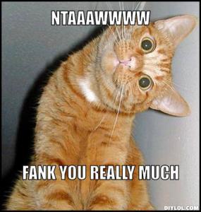 Thank-you-cat-meme-generator-ntaaawwww-fank-you-really-much-5bb7cf