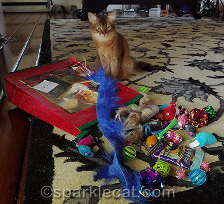 somali cat, cat toys, Christmas gifts for cats, cat christmas present