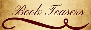 Book Teasers