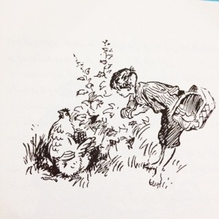 راسموس والمتشرد