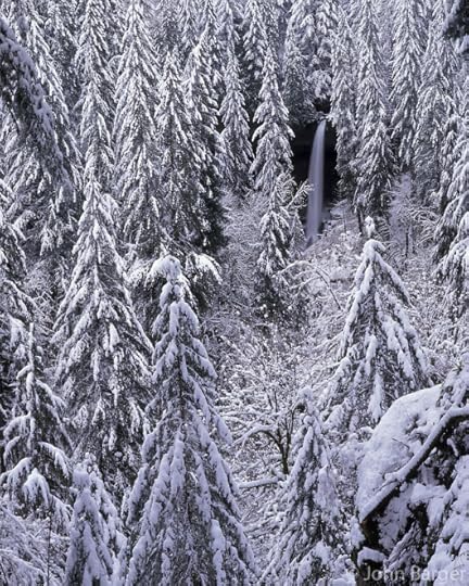 67 ORSF 006 - North Falls in winter with heavy snow clinging to surrounding conifers, Silver Falls State Park, northern Oregon, USA --- (6x7 cm original, File size: 6000x4800, 82.4mb uncompressed)
