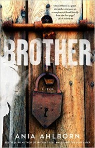Brother Novel