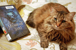 Kel Curls Up With A Book