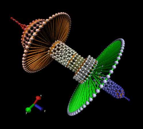 Quantum-Dragon