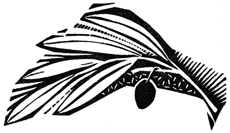 151109-scan-004-olive-branch-one