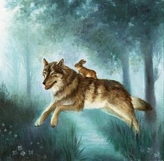 Wolf and bunny2