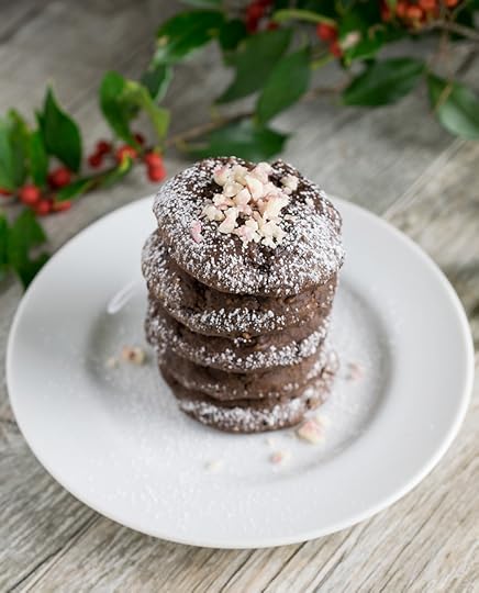 Vegan Mint Double Chocolate Black Bean Cookies
