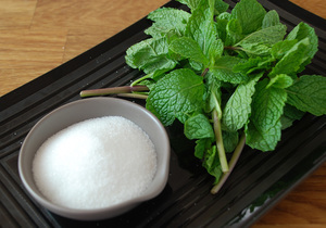 Mint infused simple syrup ingredients