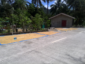 Anda Beach Town Review Bohol - Getting to Anda - Survive Travel