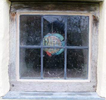 Advice for the new writer Nail Your Novel