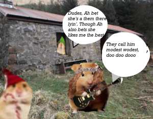 zmed-bbbbbbbubb290909