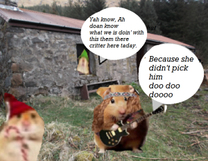 zmed-bbbbbbbubb290909