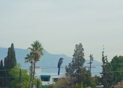 DSC03225