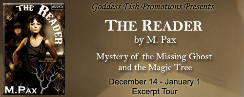 ET_TheReader_Banner copy
