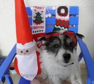 Wallace with santa caption