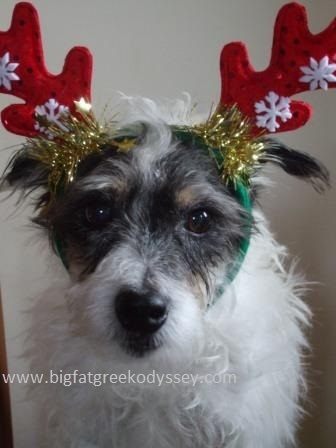 xmas wally caption
