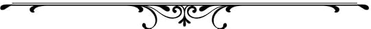 Purchased caligraphic element 1 for blogs