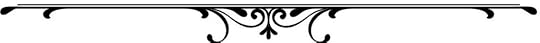 Purchased caligraphic element 1 for blogs
