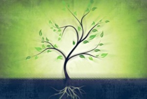 Image from Next Level Leadership