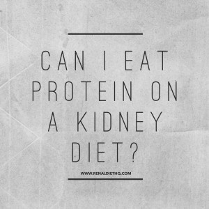 protein on a kidney diet