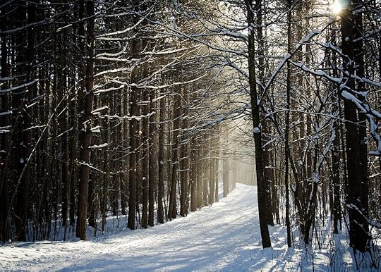 snow light