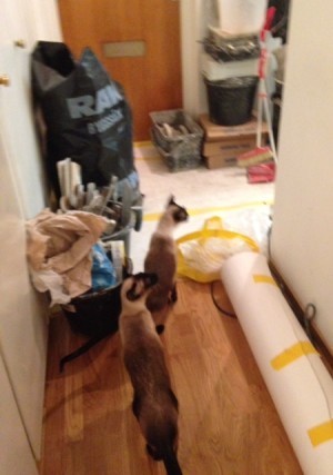 Två sekunder, sen flög de därifrån. Sötnosar.