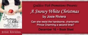 MBB_ASnowyWhiteChristmas_Banner copy