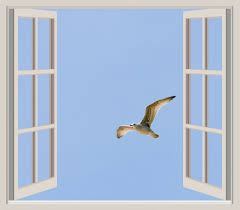 writingflyingoutwindow