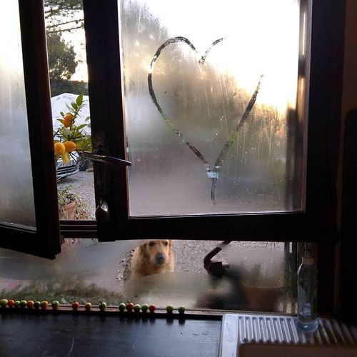 Smokey-heart-window