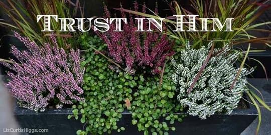 ...trust in Him... Romans 15:13
