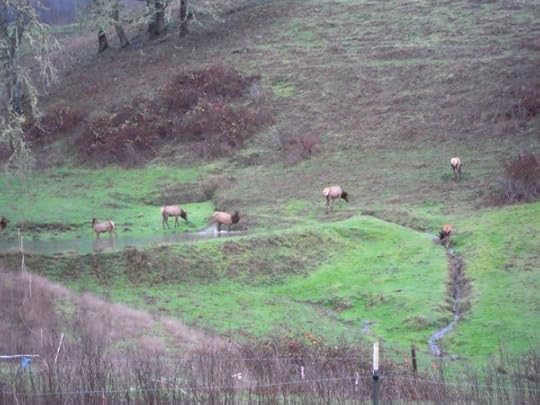 843.elk kick
