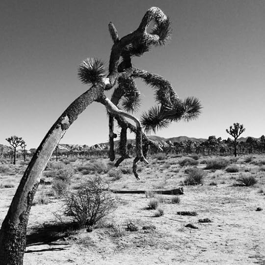 2015_03