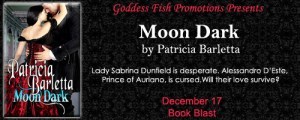 MBB_MoonDark_Banner copy
