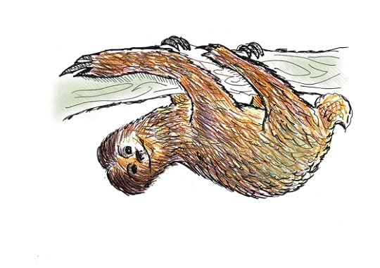 Sloth