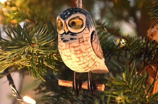 solstice-tree-owl