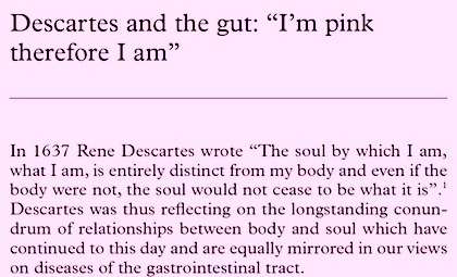 descartes-pink
