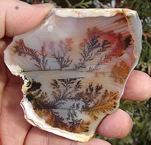 9118df80fef239406278b93338129c49