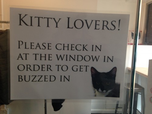 Meow Parlour entry