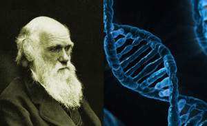 Genetics_Darwin_Edward_Lewellen