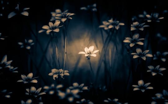 tips-to-remain-steadfast-600