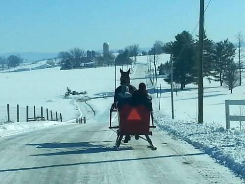 horse and sleigh
