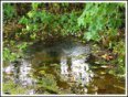 St Helen's Well, Eshton, North Yorkshire.