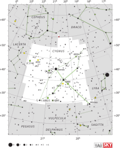 Cygnus_IAU.svg